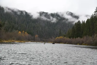 DSC_0165 (Large).JPG